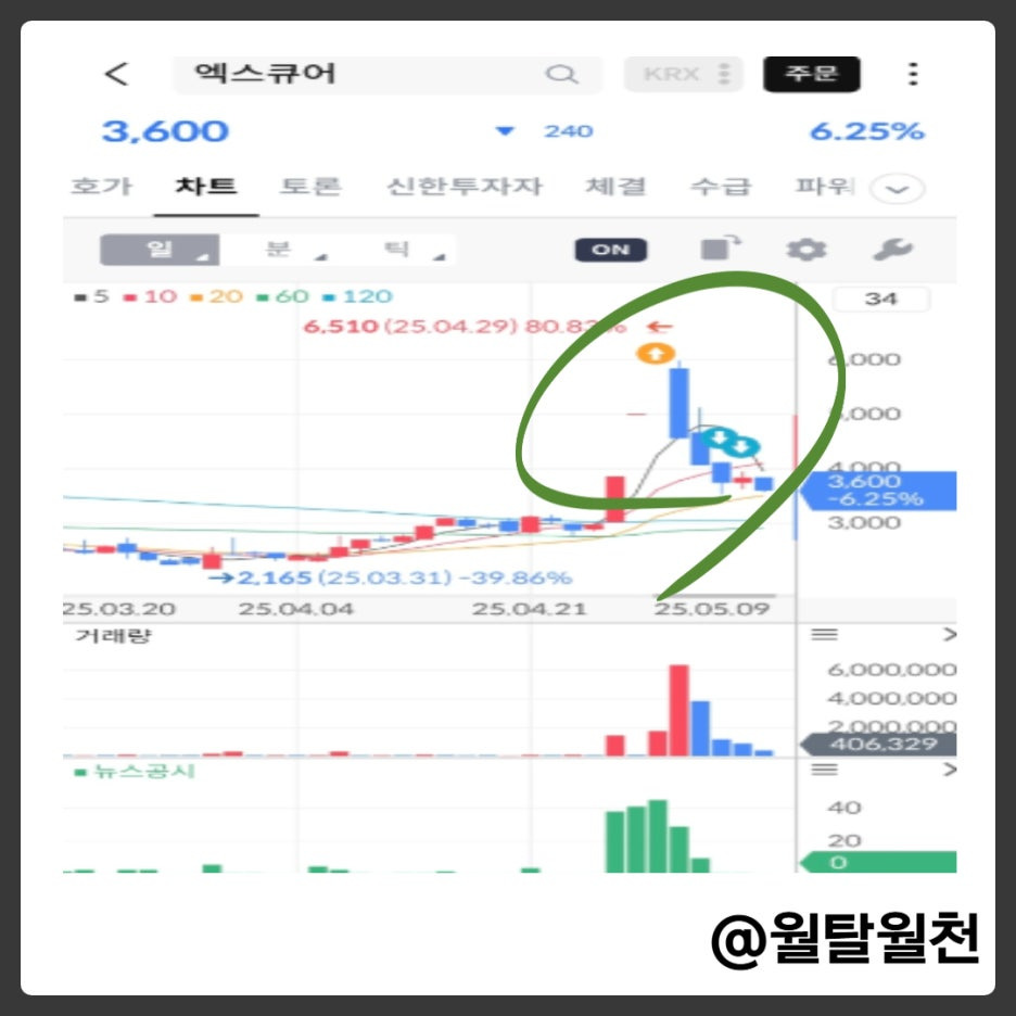 엑스큐어 뇌동매매