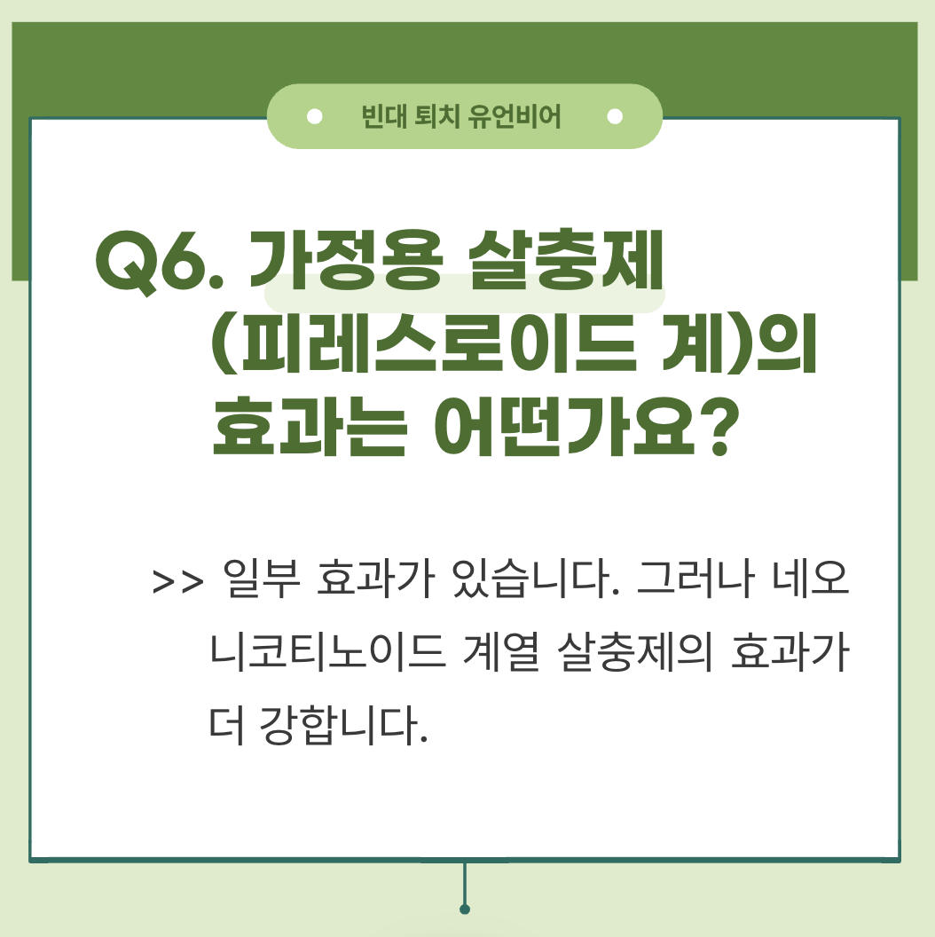 빈대 퇴치 방법 및 빈대 퇴치 유언비어(+2024)