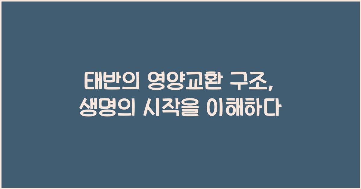 태반, 영양교환 구조