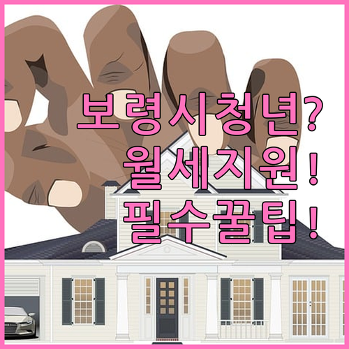 보령시 청년월세지원 대상자격과 신청 ..