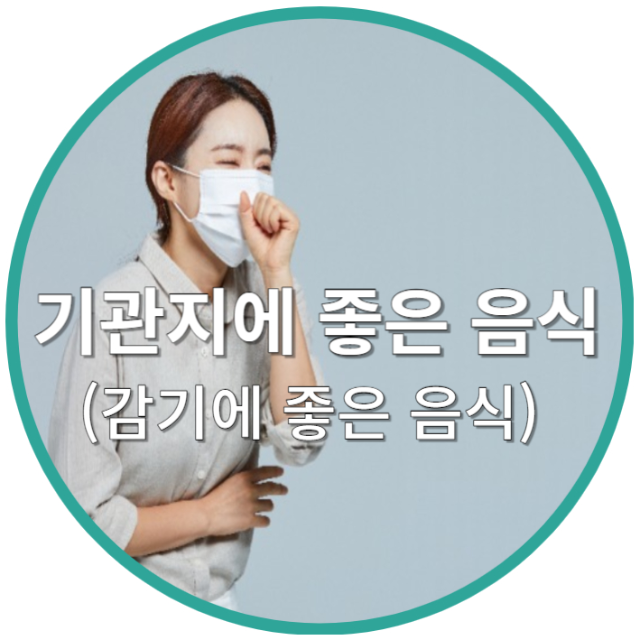 기관지에 좋은 음식