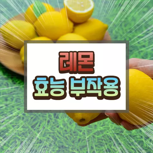 레몬 효능 부작용에 대하여