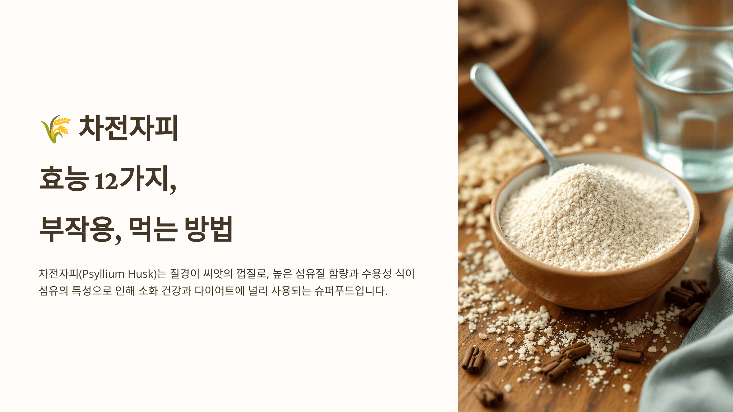 차전자피 사진입니다.