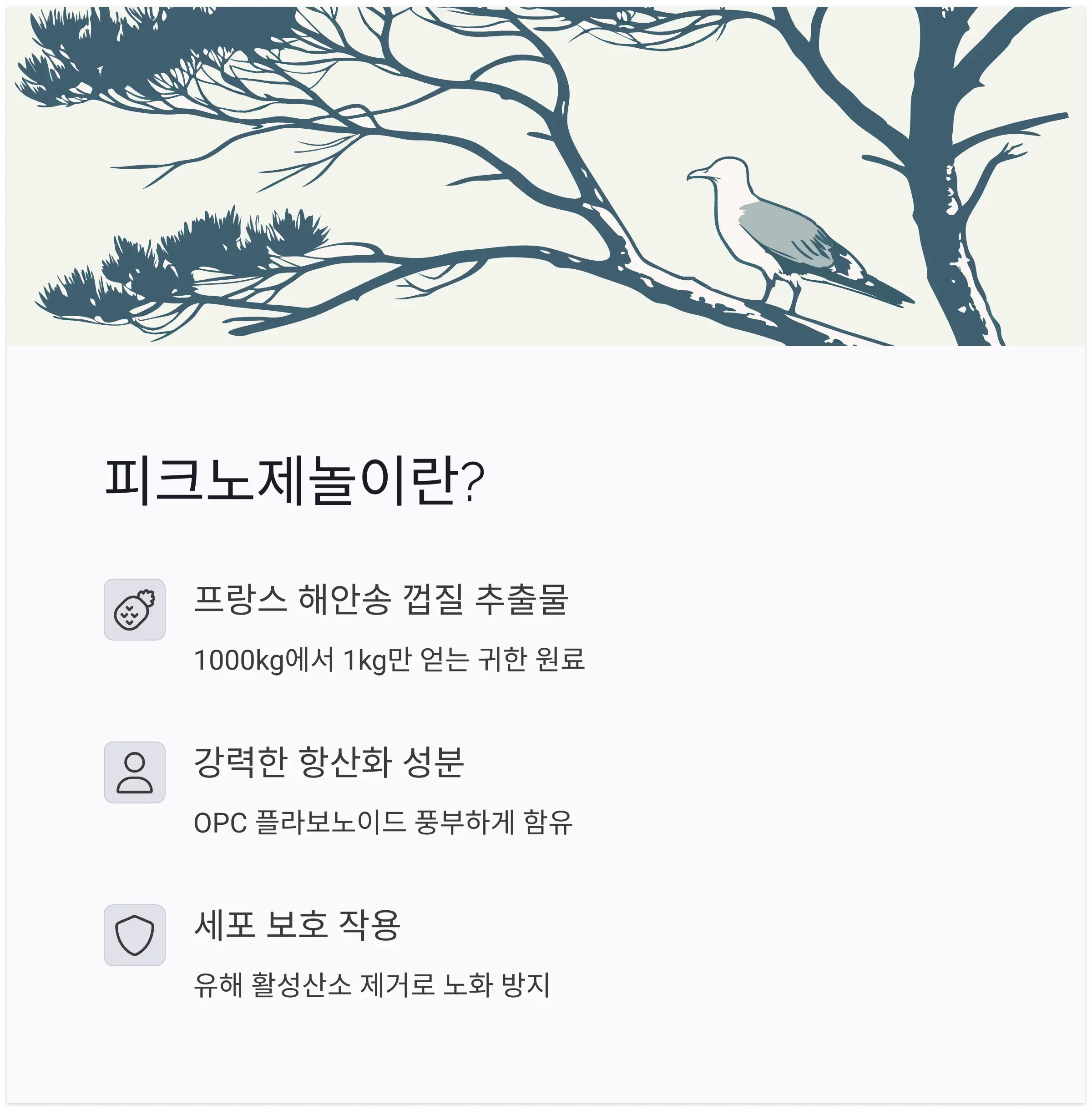 피크노제놀 효능과 부작용2