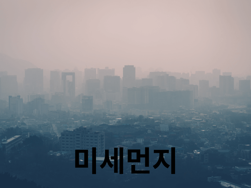 미세먼지로 인해 가시거리가 너무 짧아졌다.