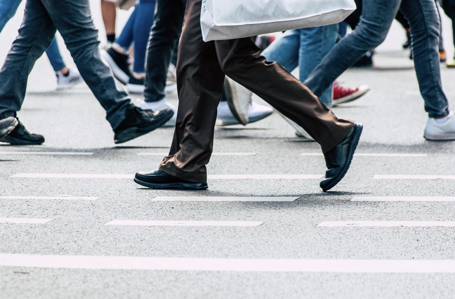 움직이는 세계에 열광하는 사람들: 애니메이션 팬덤 문화의 진화와 사회적 파급력 심층 분석