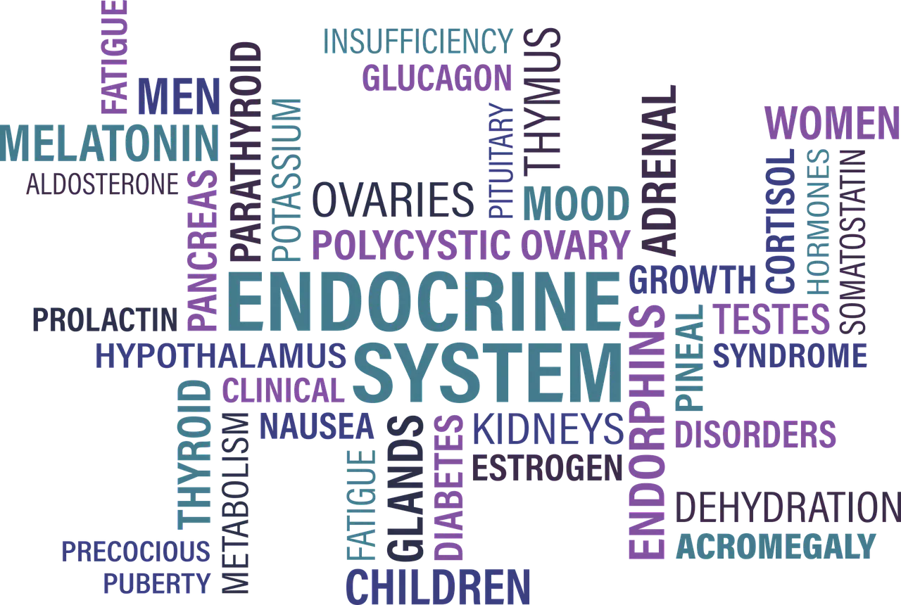 갱년기? 아닙니다! 중년 여성이라면 꼭 알아야 할 갑상선 이상 증상 7가지