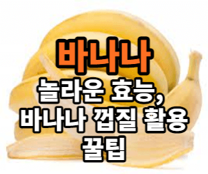 바나나