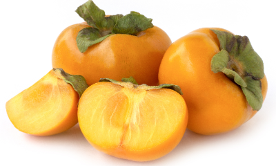 persimmon