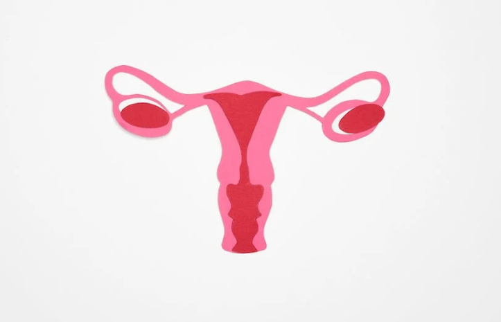 다낭성 난소 증후군은 여성의 난소에 다낭성 난포가 형성되어 호르몬 수준에 변화를 일으키는 질환이다