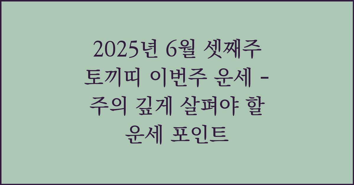 2025년 6월 셋째주 토끼띠 이번주 운세