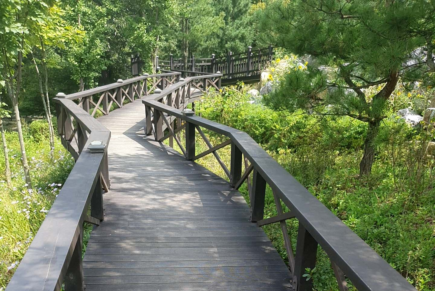 생방송투데이 불암산 철쭉제 나비정원