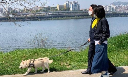 고양이뉴스 원재윤 피디 프로필