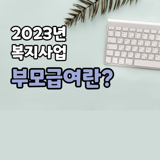 정부 복지사업 부모급여란?