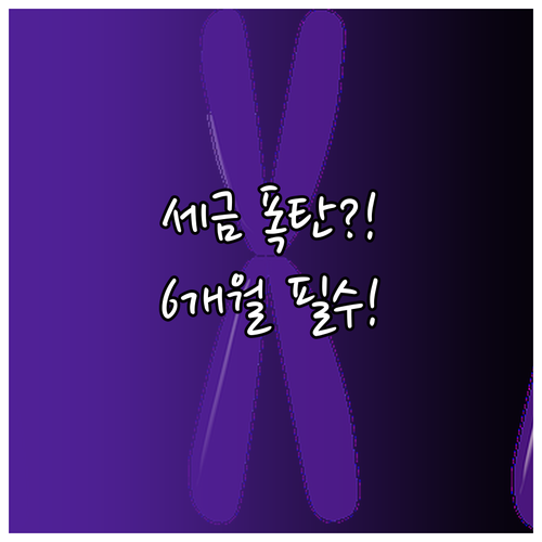 세금 폭탄 방지 상속세 6개월 기한 ..