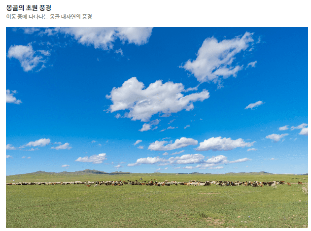 몽골의 초원 풍경