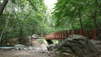 성주산자연휴양림 사진