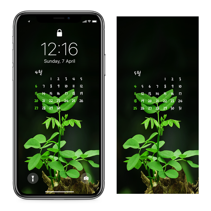 09 고목나무에 핀 새순 AB - 2025년4월 아이폰달력배경화면
