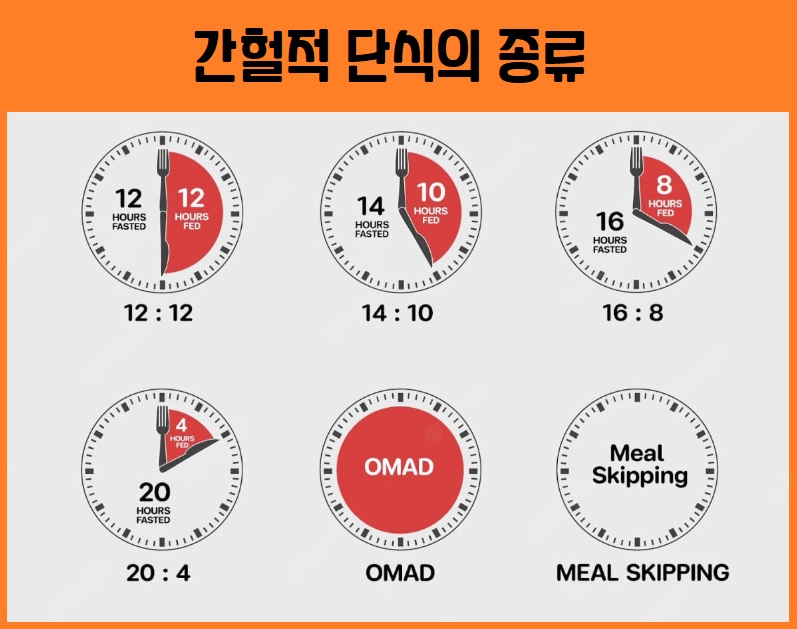 간헐적 단식 종류