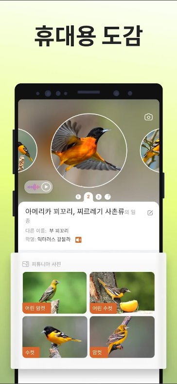 피처 버드(Picture Bird), 새종류이름 찾기, 조류이름 찾기 어플