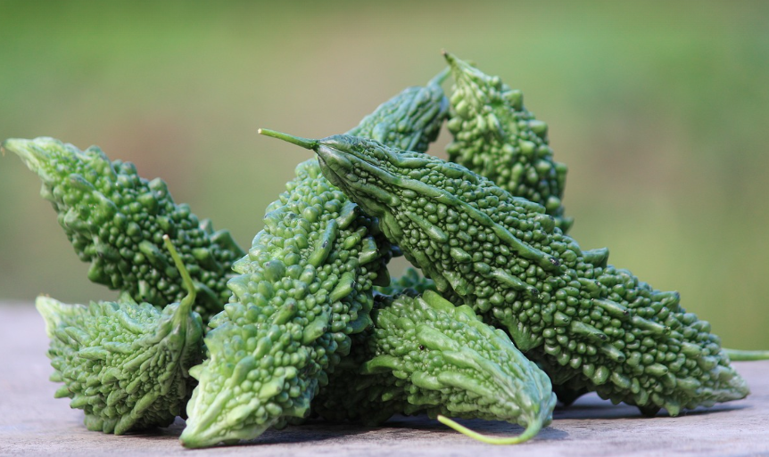 당뇨에좋은여주 비터멜론이라고도 불린다.