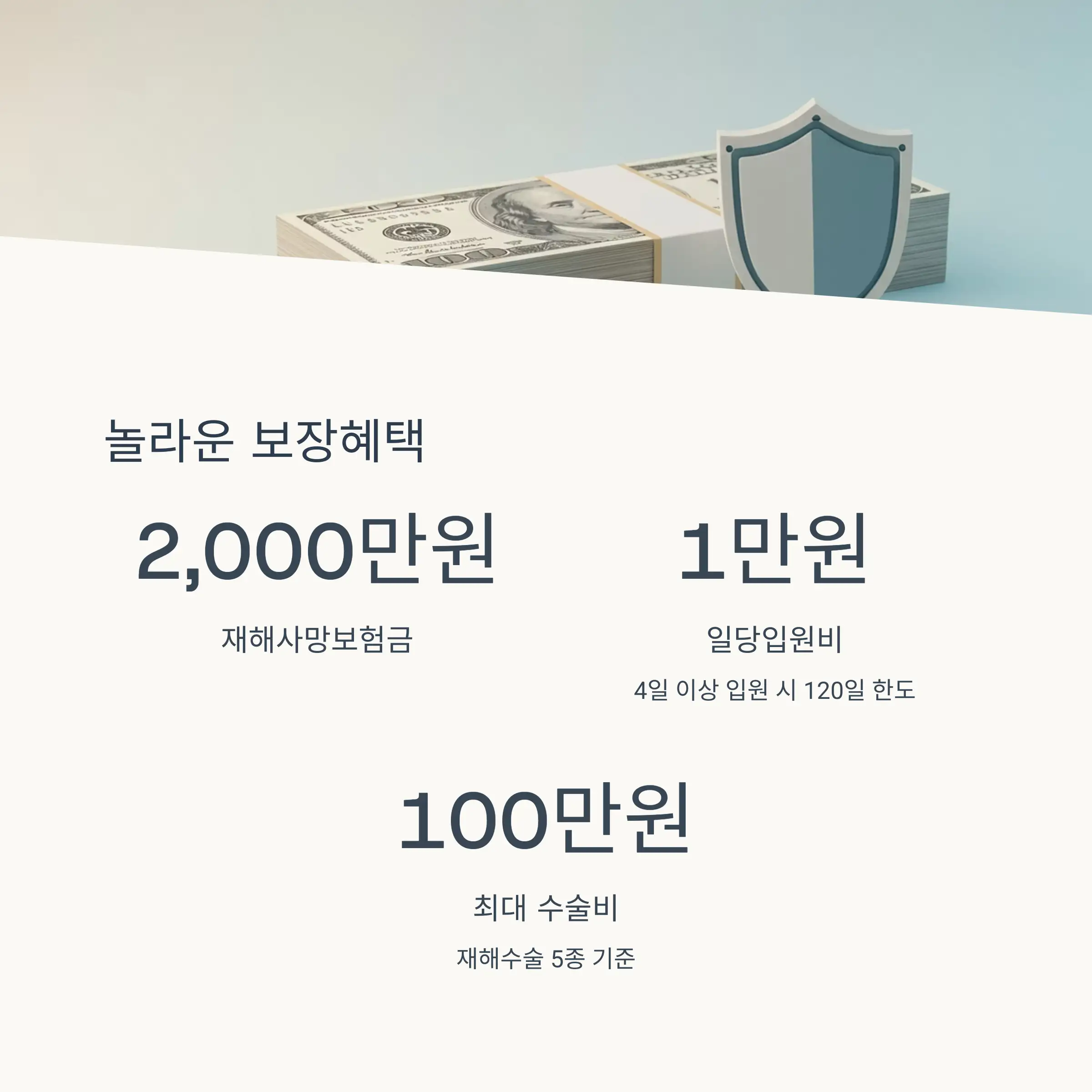 🎁 보장내용 및 혜택