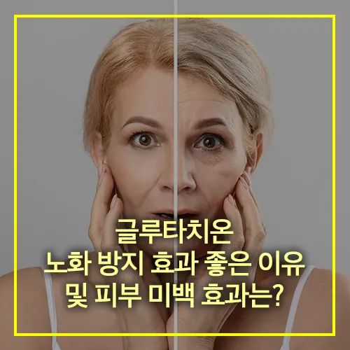 글루타치온 노화 방지 효과