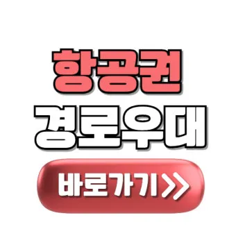 항공권 경로 할인 국내선 예매 수하물 좌석 팁_2