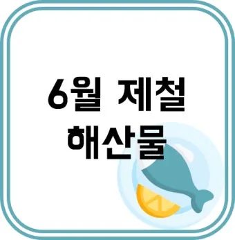6월 제철회 종류별 신선한 해산물의 맛있는 향연_20