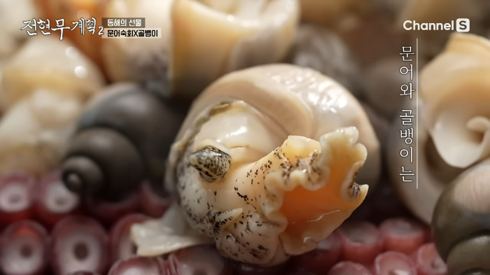  생골뱅이 숙회