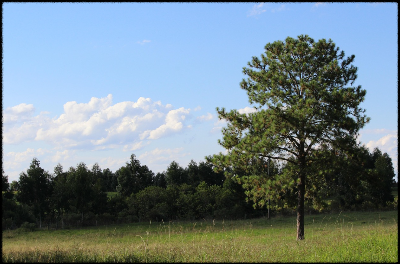 주말에도 키 크는 생활 습관 (햇볕, 스트레칭, 성장판 자극)