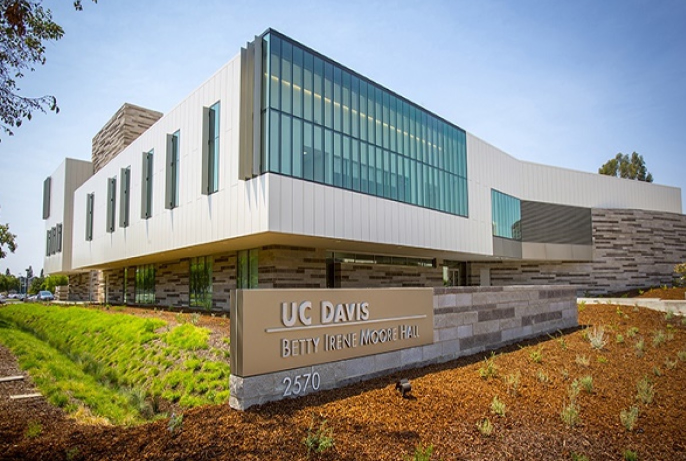데이비스 캘리포니아 대학교 캠퍼스 사진