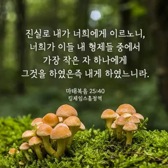 마태복음 25장 설교 아이디어 비유 말씀 강해_15