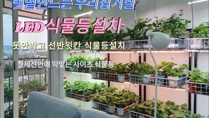 식물등 설치 위치높이 시간대설정 광량부족 해결 겨울철 성장 돕기_6