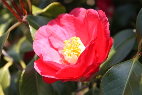 화양연화 뜻 이미지 입니다.