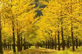 10월 가볼만한곳 베스트