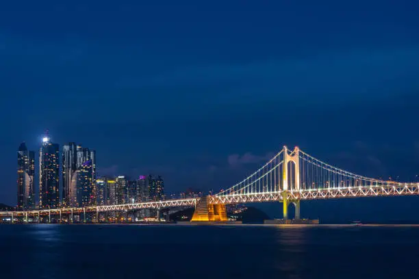 부산국제영화제 개막식 예매