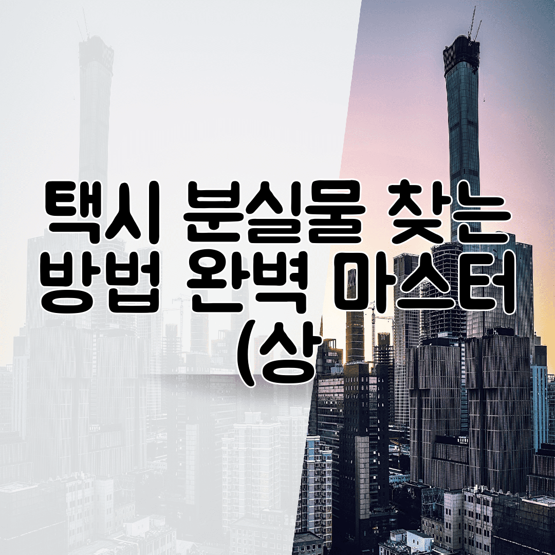 택시 분실물 찾는 방법 완벽 마스터 (상