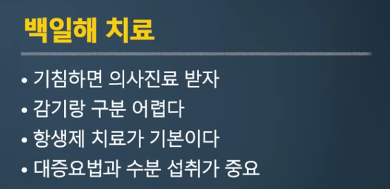 백일해 치료