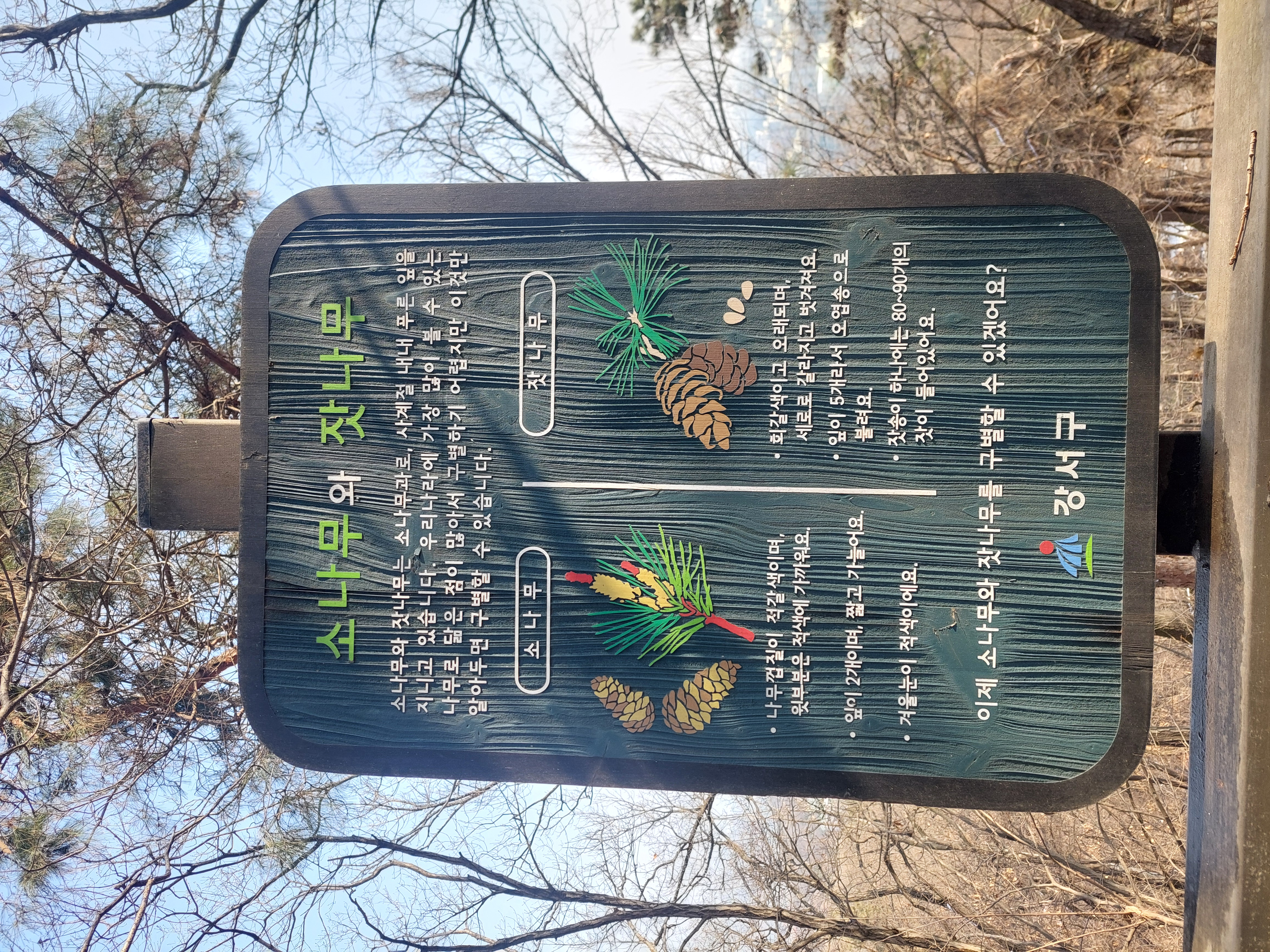개화산