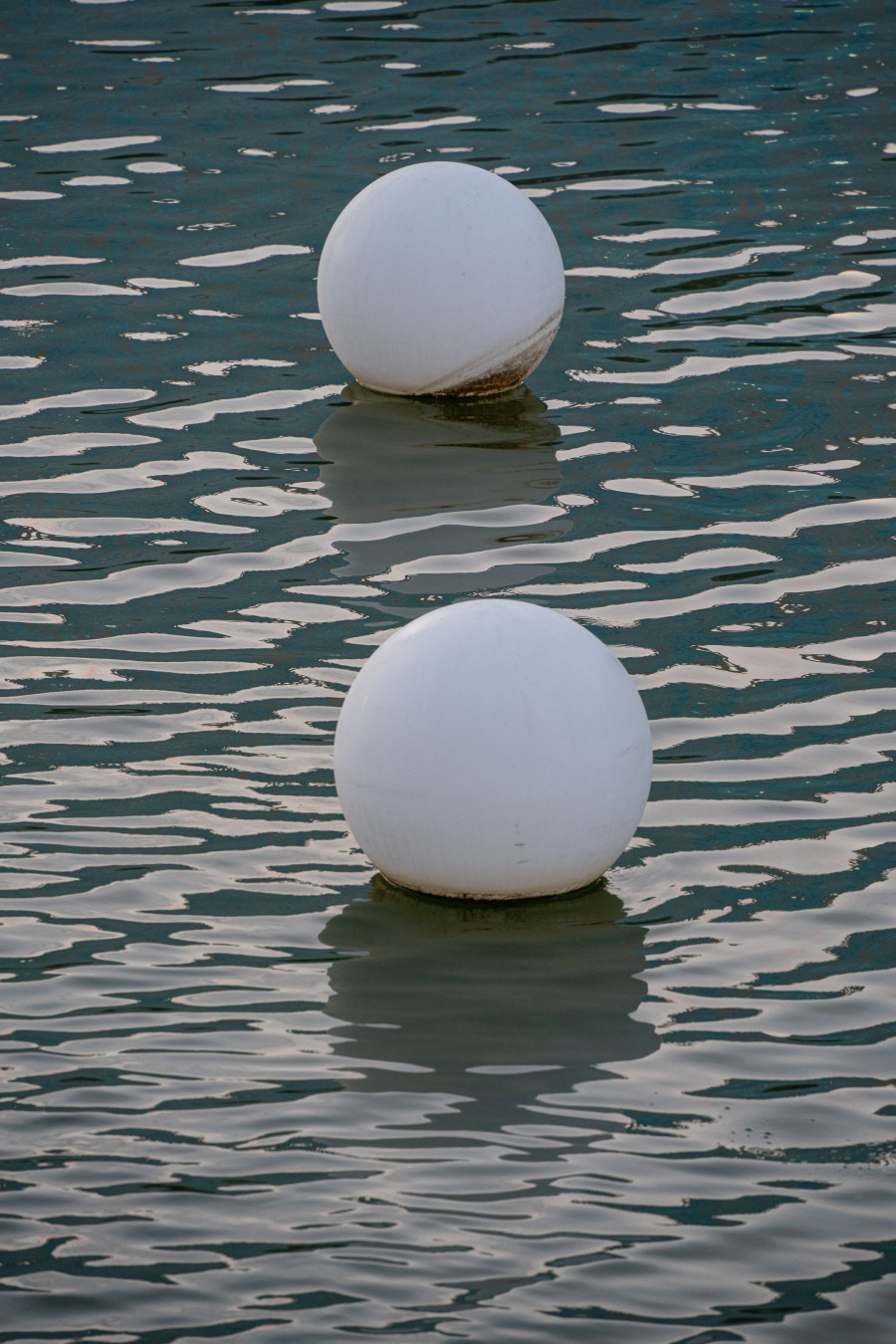 신대호수 정겨운 다리