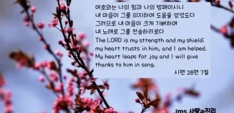 시편 77장 14절 읽기 - 주는 기사를 행하시는 하나님이시라 민족들 중에 주의 능력을 알리셨으며_22