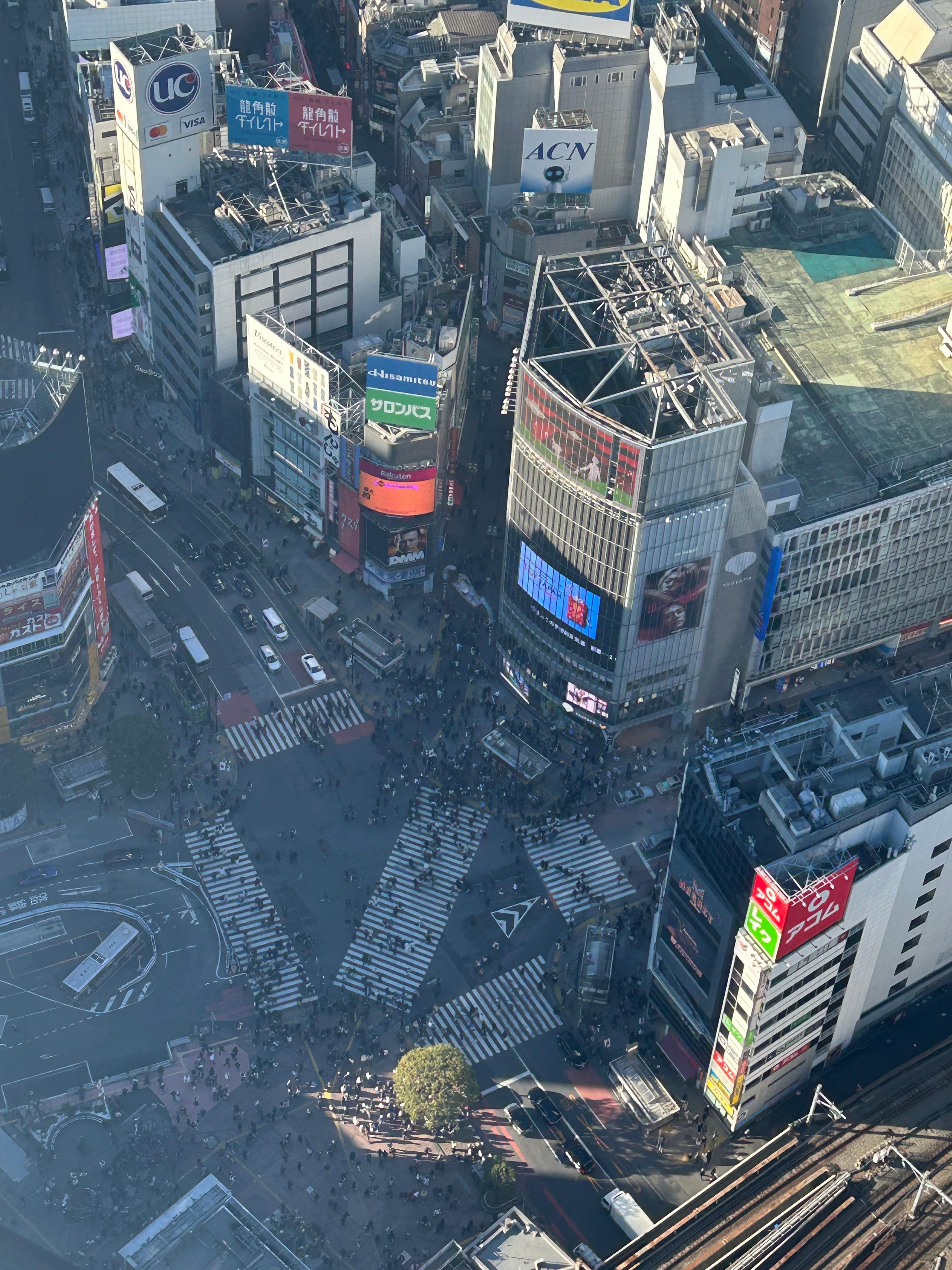 시부야스카이 전망대에서 본 시부야스크램블 사진