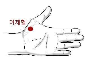 수태음폐경 - 어제혈
