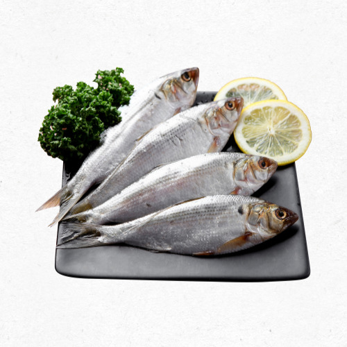 8월 말부터 즐기는 전어 회