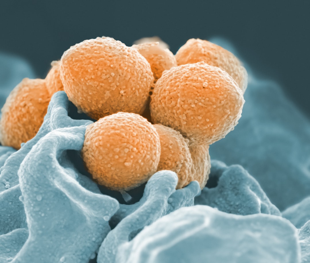 Microorganism.