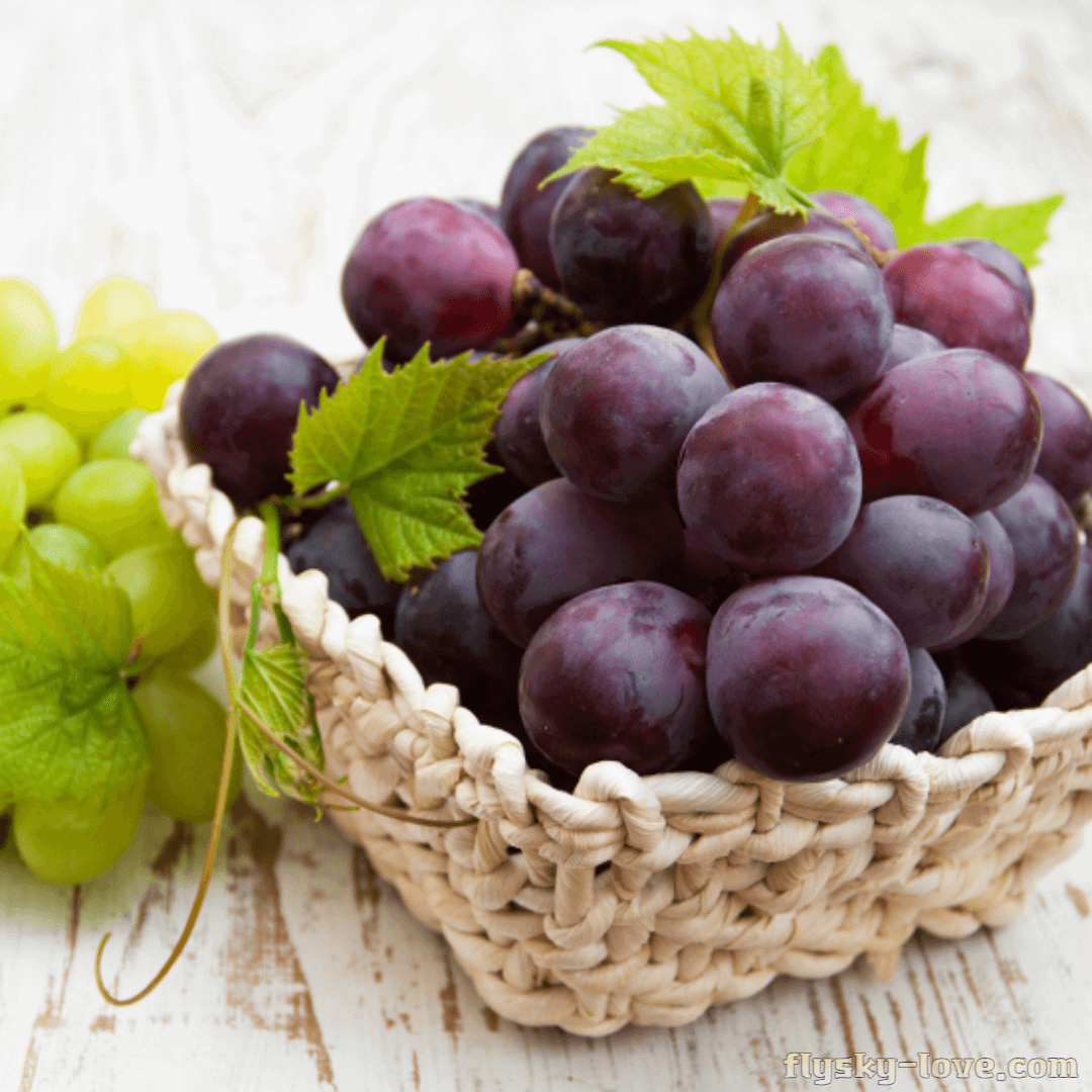 거봉 포도 고르는 법