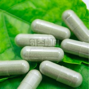 ALT수치가 높으면