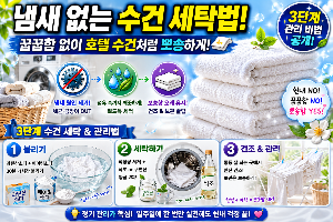 냄새 없는 수건 세탁법