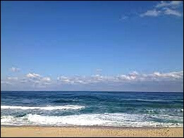 농협 체크카드 추천